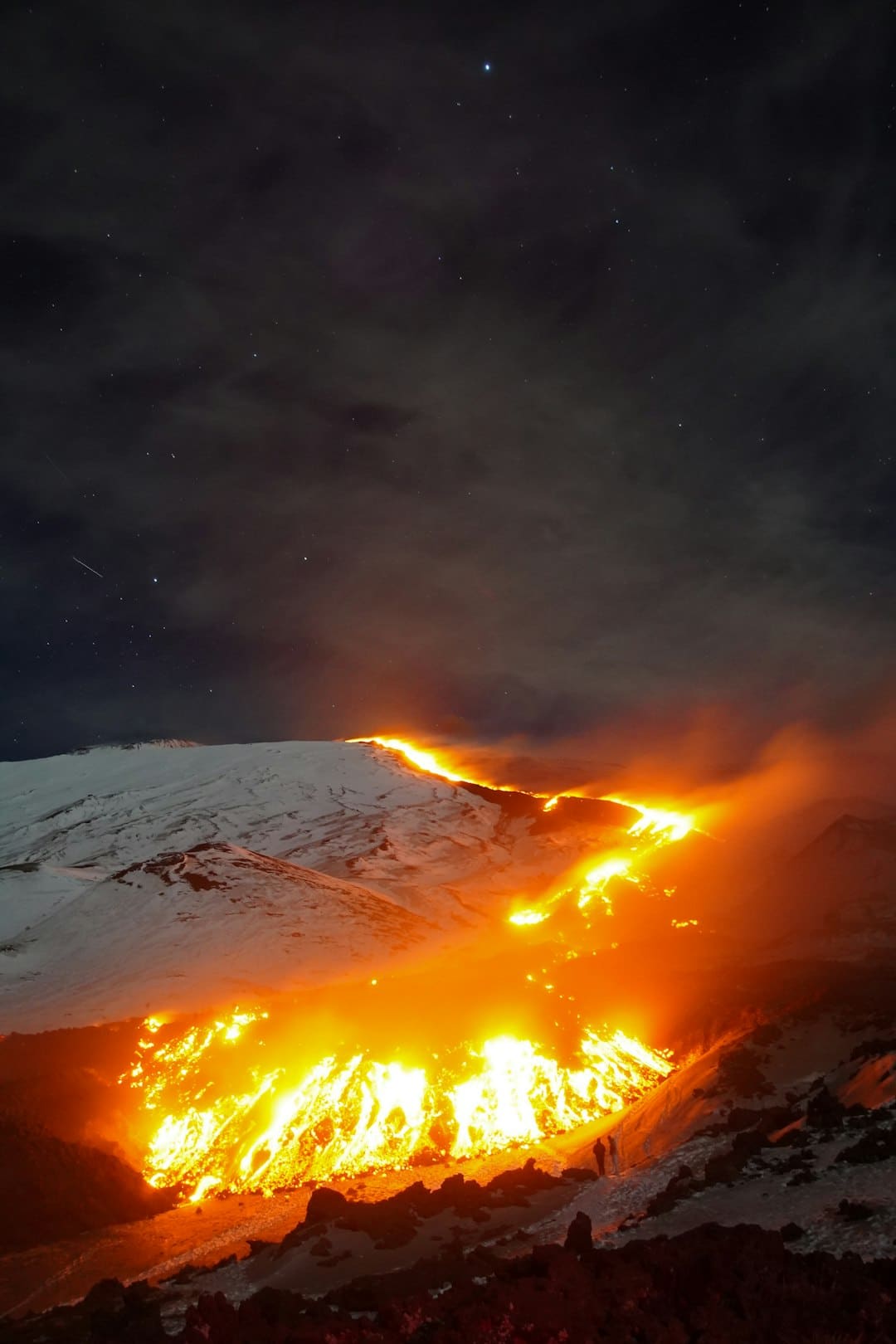“巳巳满意中国年”网络中国节·新年短视频搜集活动共享交流会举办